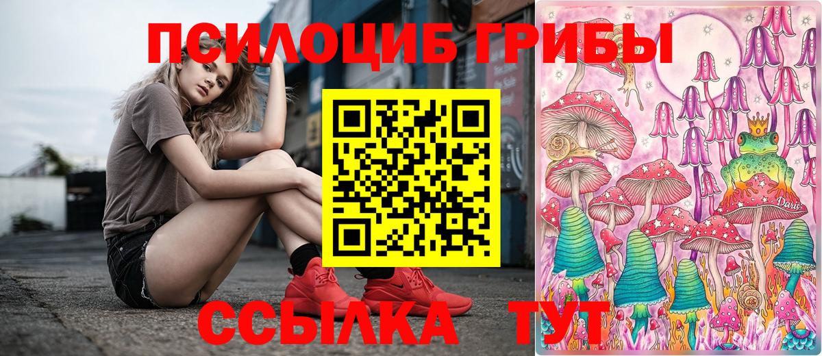 Галлюциногенные грибы прущие грибы Звенигород