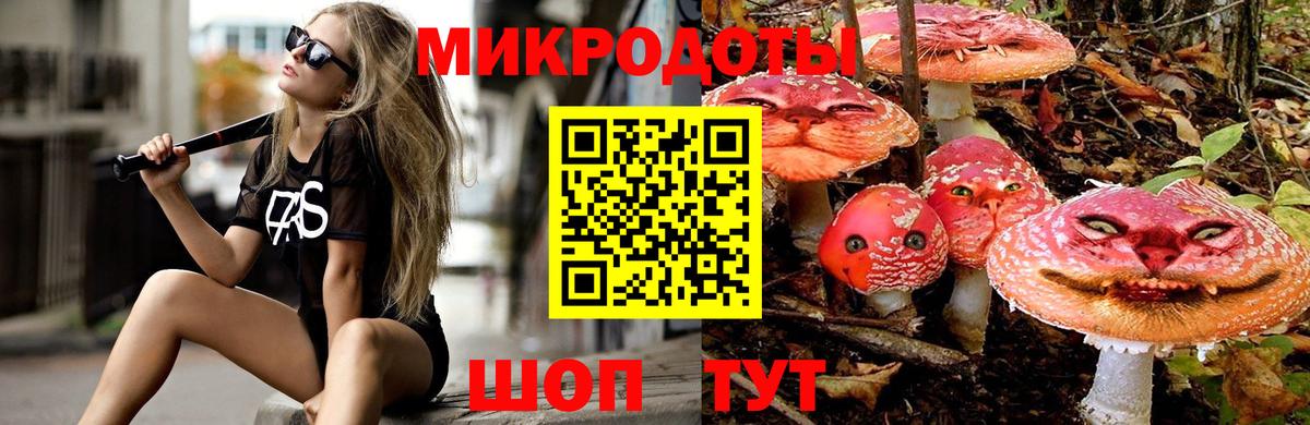 Галлюциногенные грибы Psilocybine cubensis  Вход с VPN  Звенигород  Галлюциногенные грибы Psilocybe 